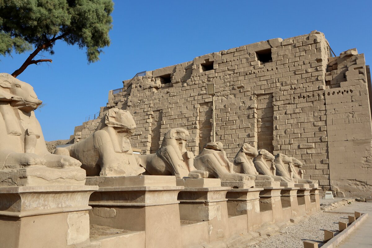 Karnak Temple columns in Luxor with morning light