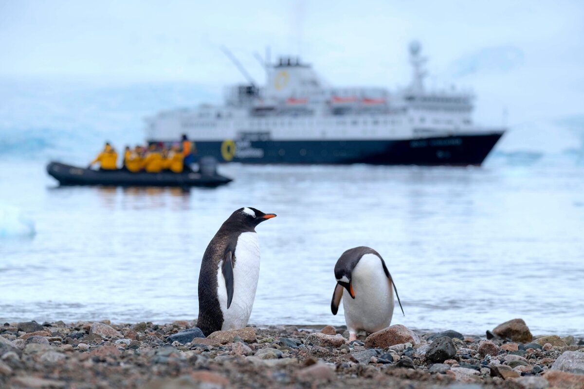 Zodiac cruising among icebergs and snow-covered peaks