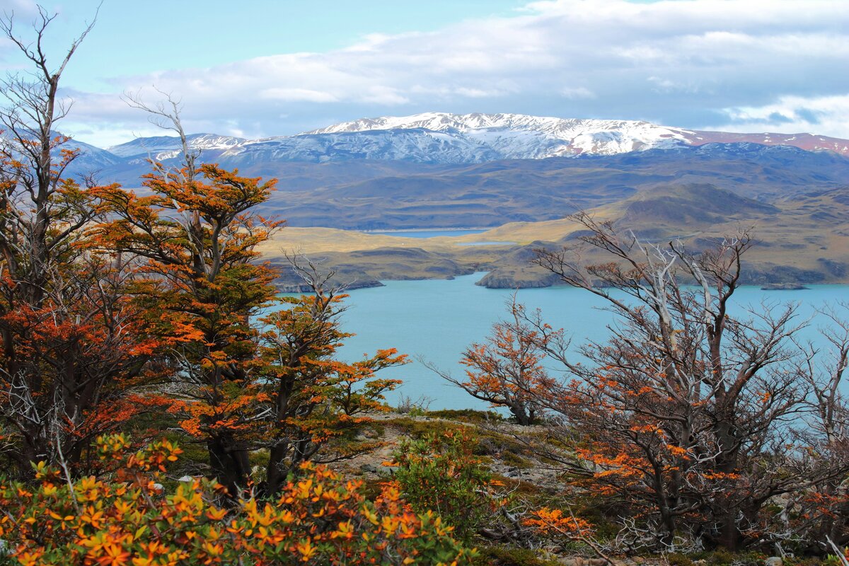 Expedition ship heading north through calm polar waters at sunset